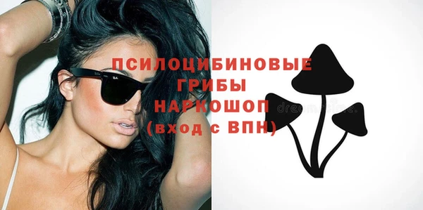 спиды Новокубанск