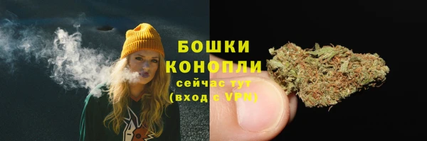 сатива Валуйки