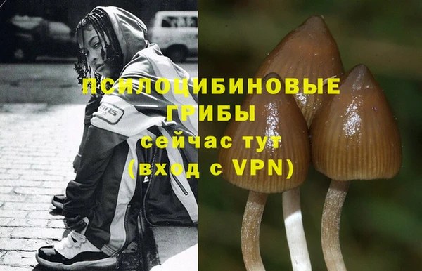 а пвп мука Нея