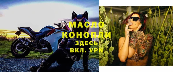 индика Нефтегорск