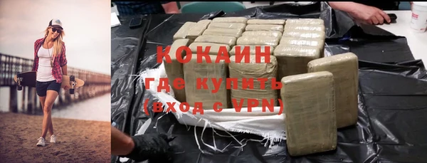 мет Новозыбков