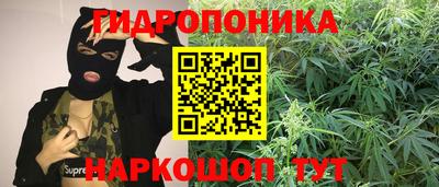 метадон Кингисепп