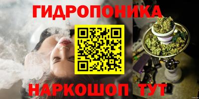 метадон Кингисепп