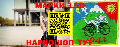 метадон Кингисепп